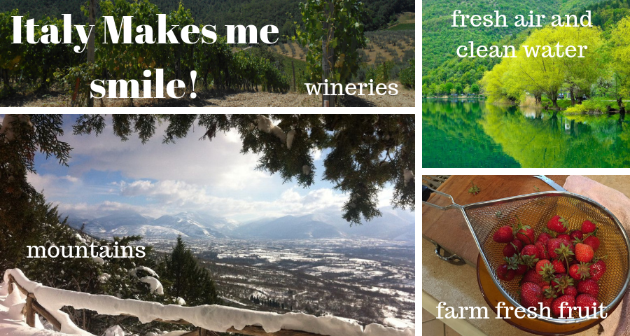 Grid of four photos: wineries, fresh air and clean water, farm fresh fruit and the Abruzzo mountains