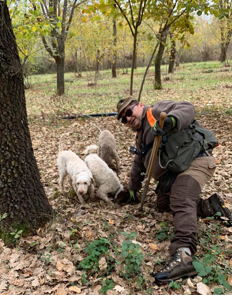 The Truffle Hunter and his Lagotta Romagna dogs find the precious truffles in Abruzzo Italy.