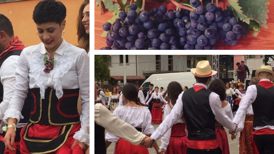 Grape stomping and traditional celebration surrounding the grape harvest.